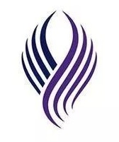 网站 Logo